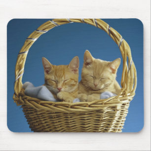 Tapis De Souris Chatons dormant dans le panier