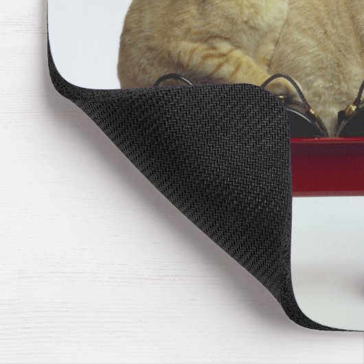 Tapis De Souris Chatons en wagon (Coin)