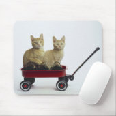 Tapis De Souris Chatons en wagon (Avec souris)