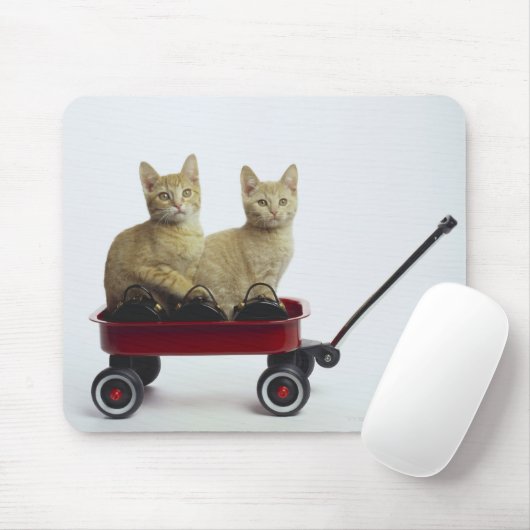 Tapis De Souris Chatons en wagon (Avec souris)