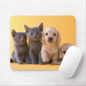 Tapis De Souris Chatons et chiots bleus russes de teckel (Avec souris)