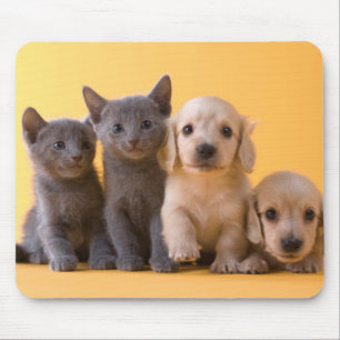 Tapis De Souris Chatons et chiots bleus russes de teckel
