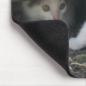 Tapis De Souris Chatons jouant à la ferme Mousepad (Coin)