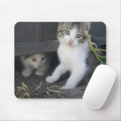 Tapis De Souris Chatons jouant à la ferme Mousepad (Avec souris)