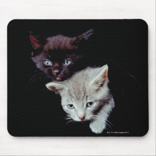 Tapis De Souris Chatons légers et foncés