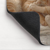 Tapis De Souris Chatons oranges (Coin)