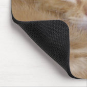 Tapis De Souris Chatons oranges (Coin)