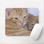 Tapis De Souris Chatons oranges (Avec souris)