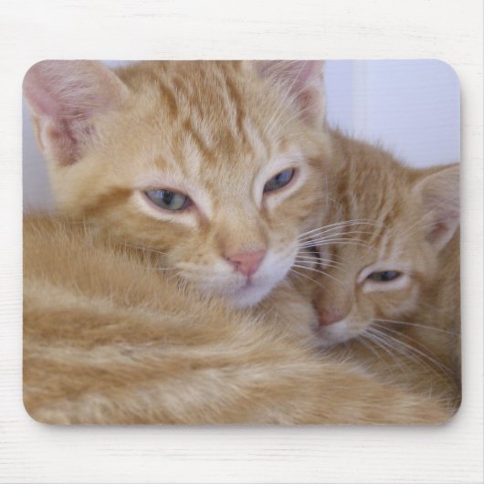Tapis De Souris Chatons oranges (Devant)