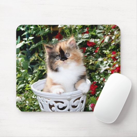 Tapis De Souris Chatons persans Mousepad de calicot confortable de (Avec souris)