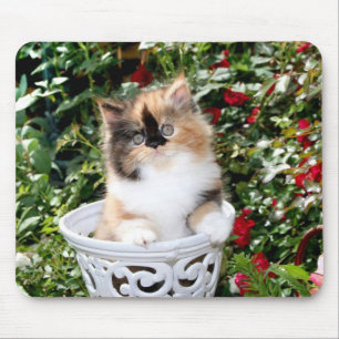 Tapis De Souris Chatons persans Mousepad de calicot confortable de
