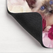 Tapis De Souris chatons siamois (Coin)