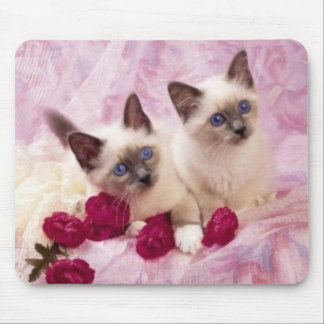 Tapis De Souris chatons siamois