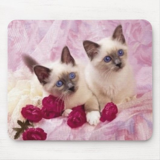 Tapis De Souris chatons siamois (Devant)