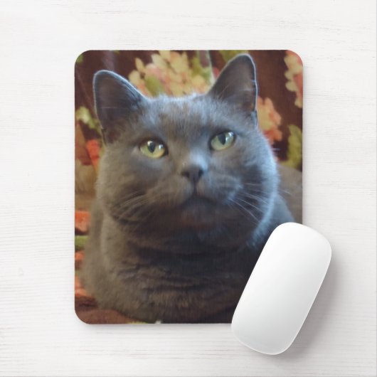 Tapis De Souris Chatouillements (Avec souris)