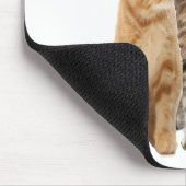 Tapis De Souris Chats (Coin)