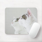 Tapis De Souris Chats (Avec souris)