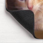 Tapis De Souris Chats (Coin)