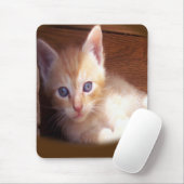 Tapis De Souris Chats (Avec souris)