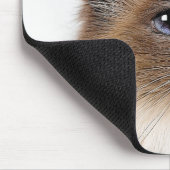 TAPIS DE SOURIS CHATS (Coin)