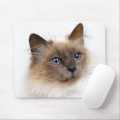 TAPIS DE SOURIS CHATS (Avec souris)