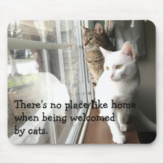 Tapis De Souris Chats assis près de la fenêtre
