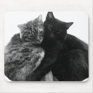 Tapis De Souris Chats caressant Mousepad