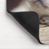 Tapis De Souris Chats dans un sac en papier (Coin)