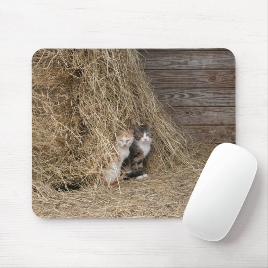 Tapis De Souris Chats de grange (Avec souris)