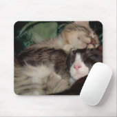 Tapis De Souris Chats de moissons 3 Mousepad (Avec souris)