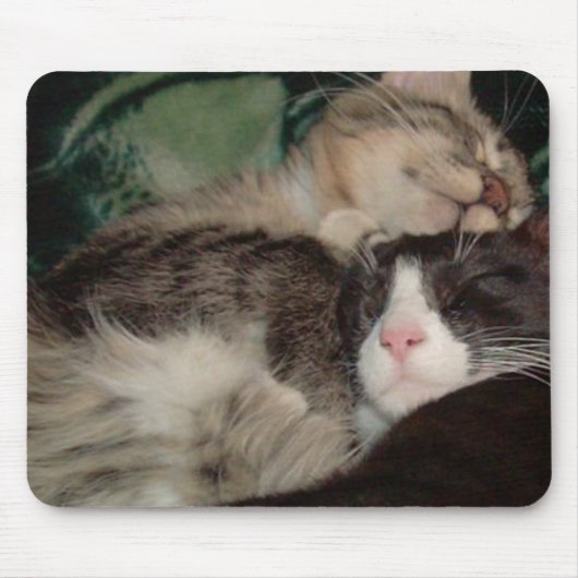 Tapis De Souris Chats de moissons 3 Mousepad (Devant)