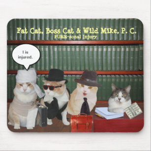 Tapis De Souris Humour Chat Zazzle Be