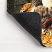Tapis De Souris Chats Mousepad (Coin)