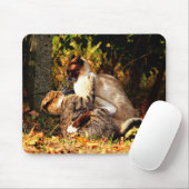 Tapis De Souris Chats Mousepad (Avec souris)