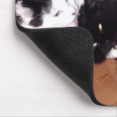 Tapis De Souris Chats Mousepad d'amour (Coin)