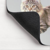 Tapis De Souris Chats Mousepad PURRsonality (Coin)