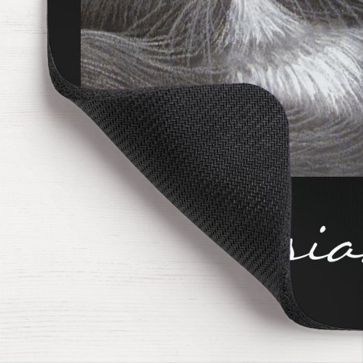 Tapis De Souris CHATS PERSANS Mousepad (Coin)