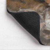 Tapis De Souris Chats sur une mousepée (Coin)