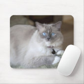 Tapis De Souris Chatte Ragdoll (Avec souris)