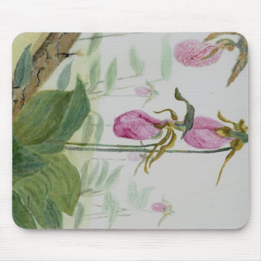 Tapis De Souris Chaussures Lady (Devant)