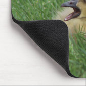 Tapis De Souris Chauve-souris canadienne (Coin)