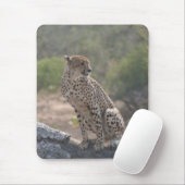 Tapis De Souris Cheetah (Avec souris)