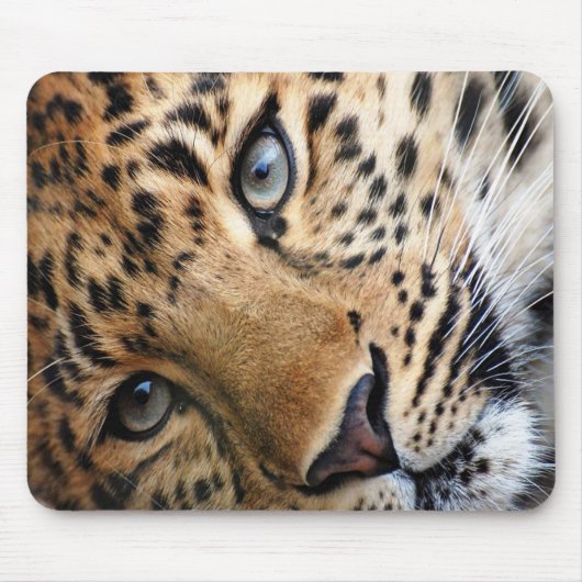 Tapis De Souris Cheetah (Devant)