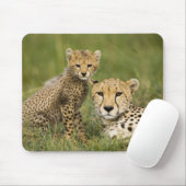 Tapis De Souris Cheetah, Acinonyx jubatus, avec Cub (Avec souris)