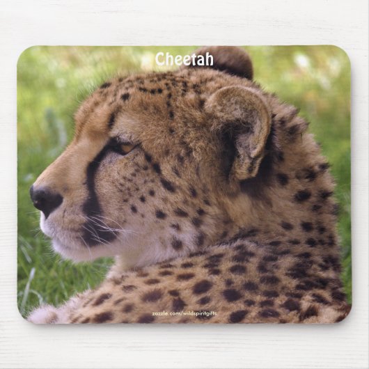 Tapis De Souris Cheetah Big Cat Wildlife Photo Mousepad (Devant)