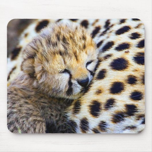 Tapis De Souris Cheetah Cub (Devant)
