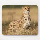 Tapis De Souris Cheetah on small mound for better visibility (Devant)