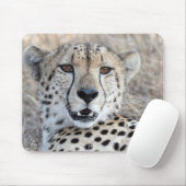 Tapis De Souris Cheetah Portrait (Avec souris)