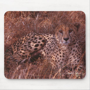 Tapis De Souris Cheetah Stare