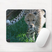 Tapis De Souris Cheetah sur la chasse (Avec souris)